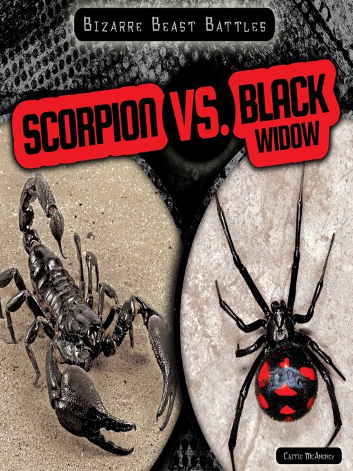Title details for Scorpion vs. Black Widow by Caitie McAneney - Available